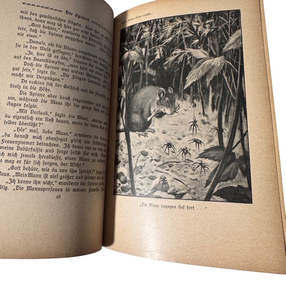 "Mother Nature Tells" By Karl Ewald Hardcover Book German Mutter Natur Erzählt - Picture 7 of 16